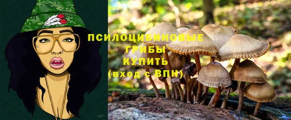кристаллы Арсеньев