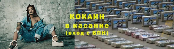 дживик Аркадак