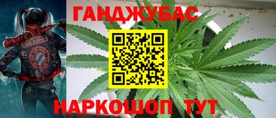 spice Брянск