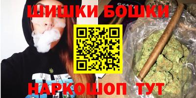 spice Брянск